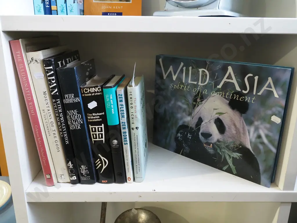 various Asian books Image 1++