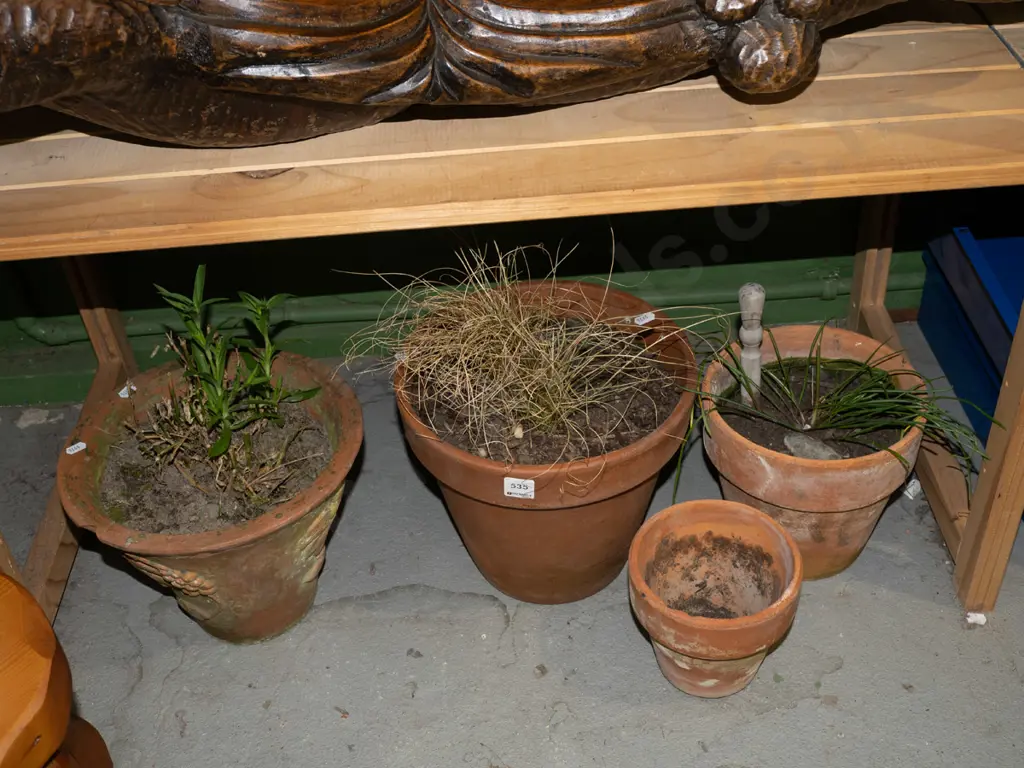 4x terracotta planters and plants Image 1++