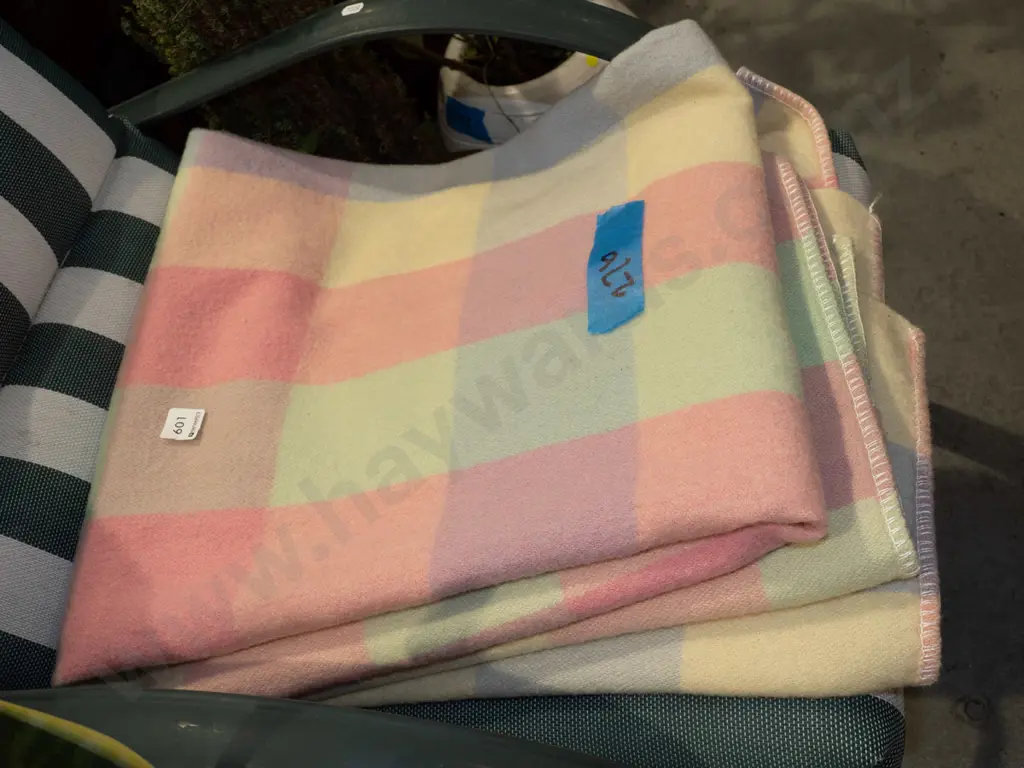 Princess woollen blanket Image 1++