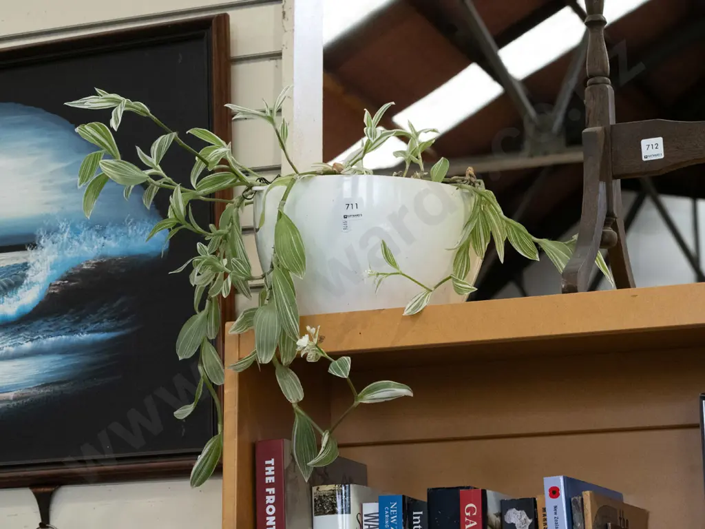 indoor plant in plastic jardiniere Image 1++