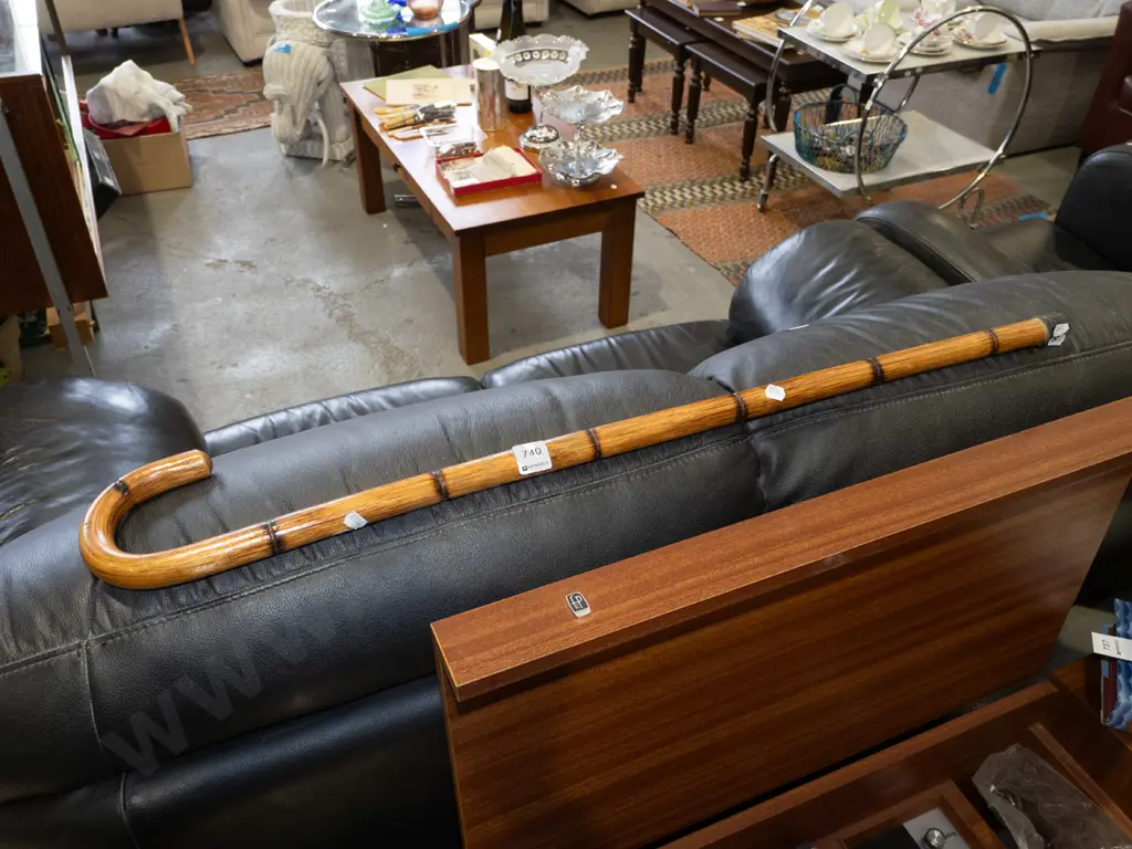 walking stick Image 1++