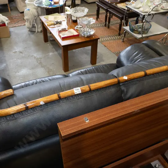 walking stick