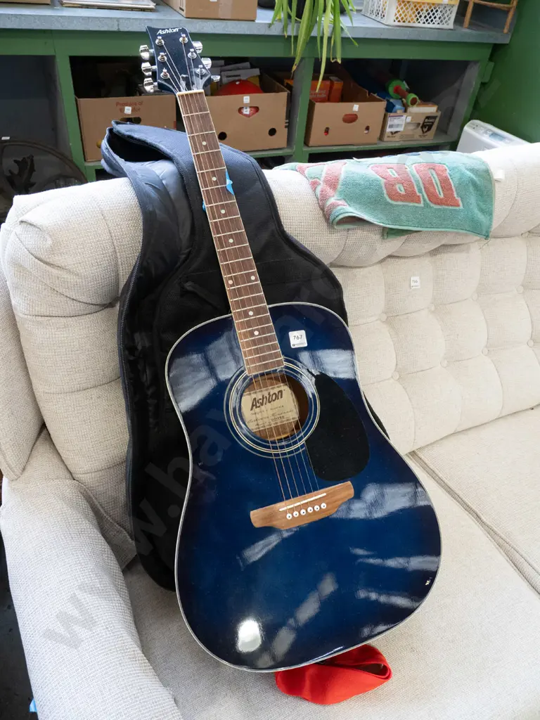Ashton acoustic guitar and carry case Image 1++