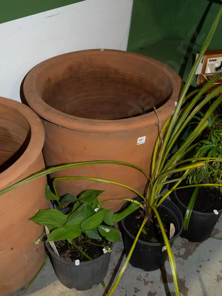 large terracotta garden planter H500 Image 1++