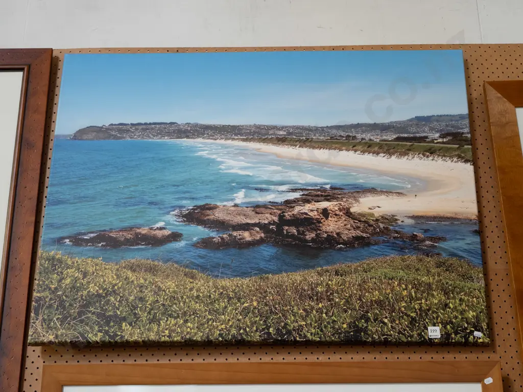 framed photo print on canvas - South Dunedin Overall H800 Image 1++
