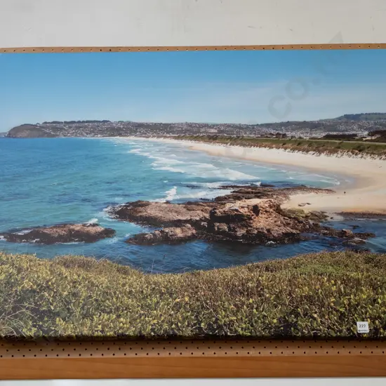framed photo print on canvas - South Dunedin Overall H800