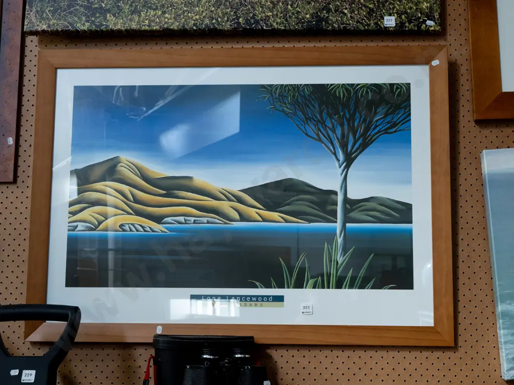 framed poster print - Lone Lancewood Overall H690 Image 1++