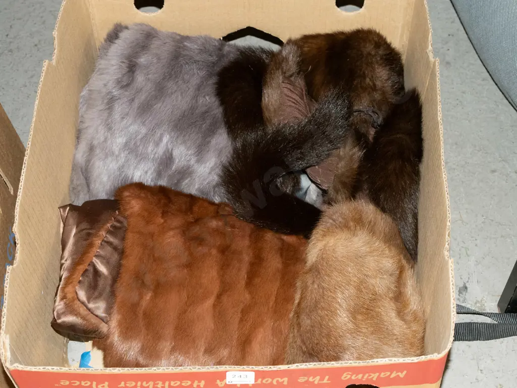box; fur stoles, fur hat Image 1++
