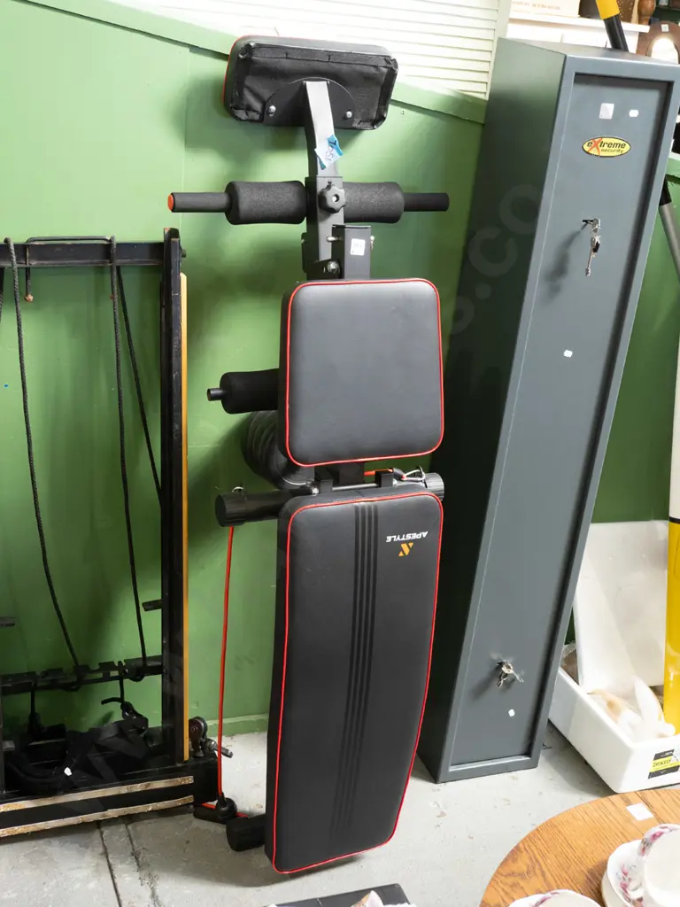 Apestyle exercise bench Image 1++
