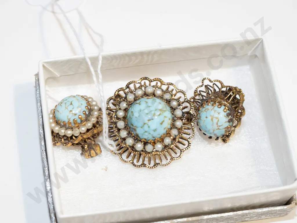 costume brooch & clip on earrings Image 1++