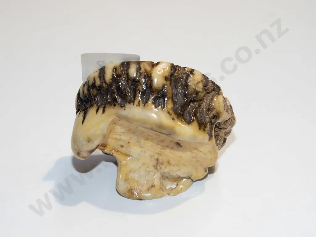piece of composite faux scrimshaw Image 1++