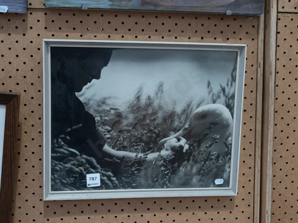 framed photo print - person and albatross Image 1++