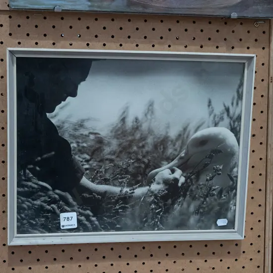 framed photo print - person and albatross