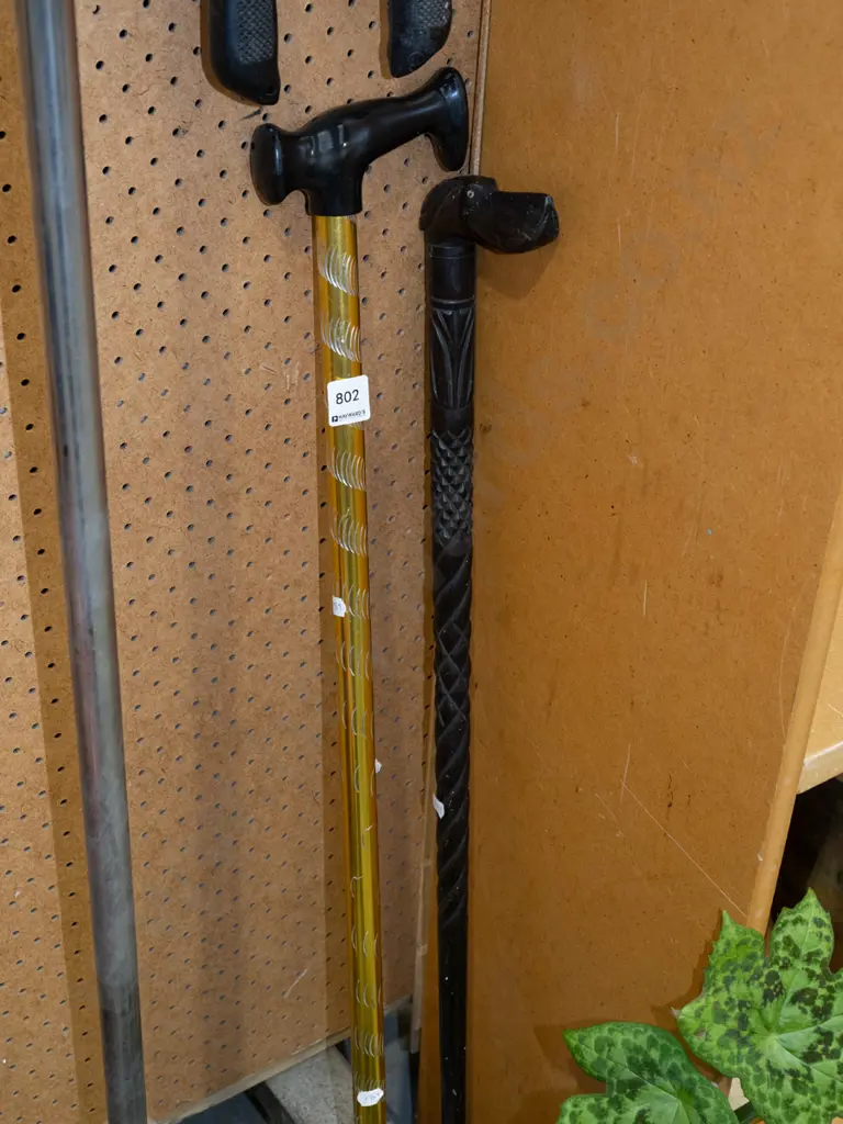 2x walking sticks Image 1++