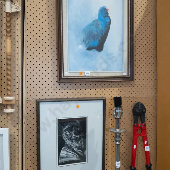 framed print - takahe, portrait - orange dots