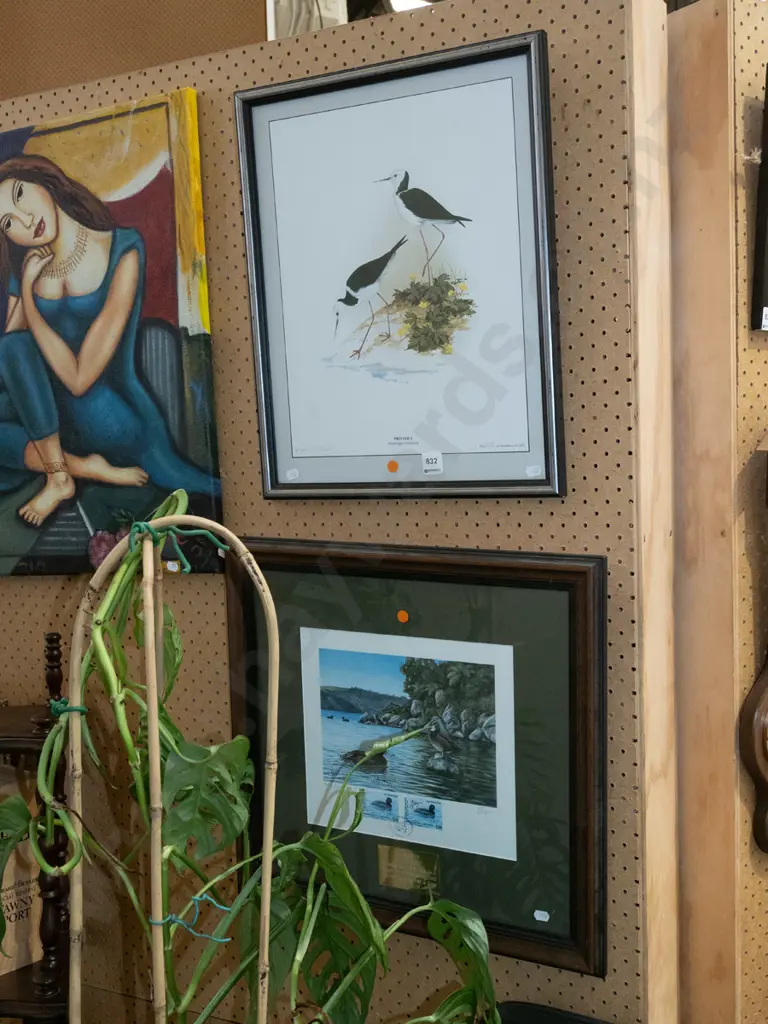 framed pied stilt print, fish and game duck print with stamps - orange dots Image 1++