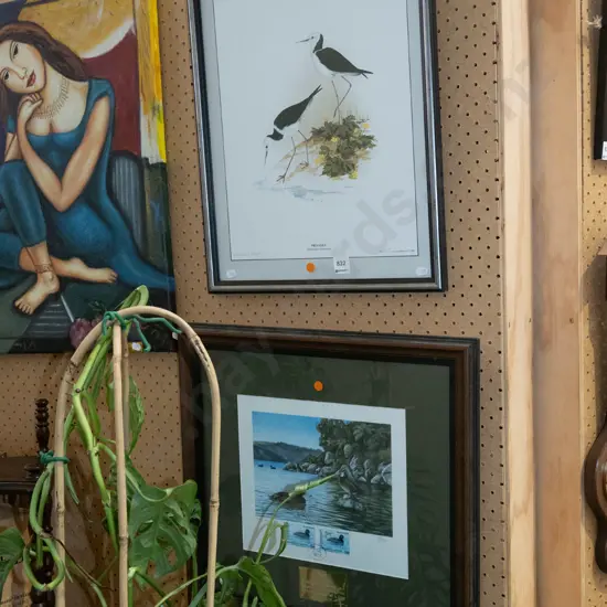 framed pied stilt print, fish and game duck print with stamps - orange dots
