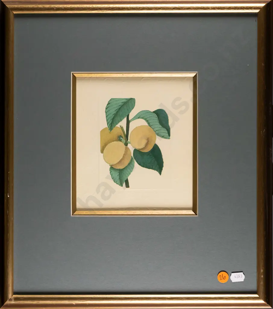 framed embossed print - peaches H-170 W-150 Image 1++