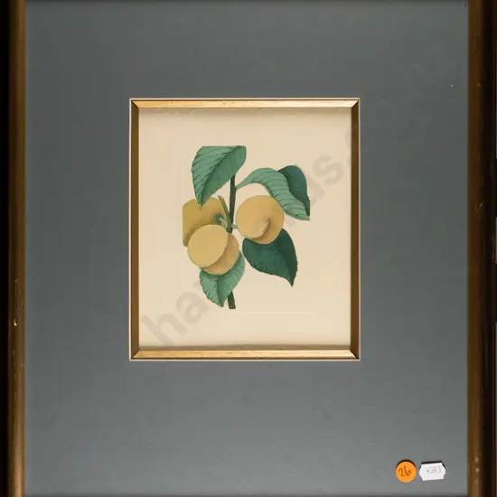 framed embossed print - peaches H-170 W-150
