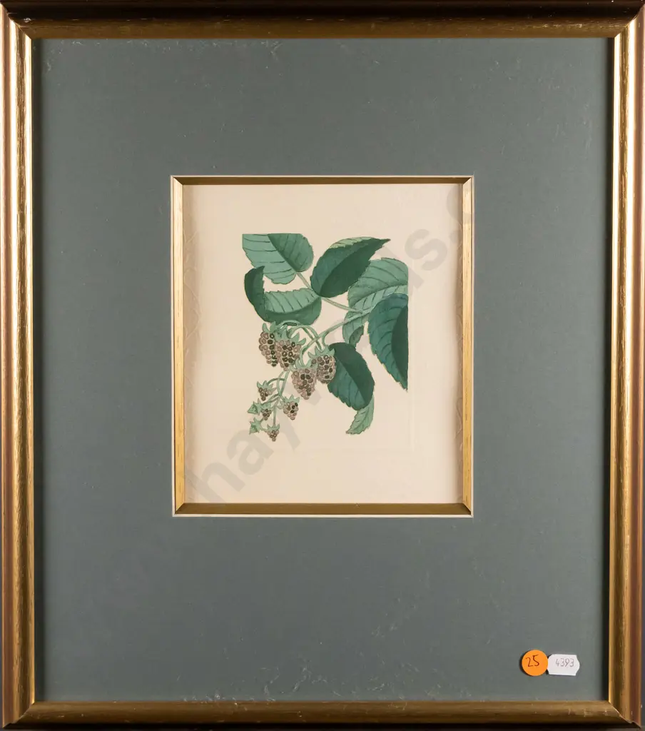 framed embossed print - blackberries H-170 W-150 Image 1++