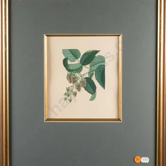 framed embossed print - blackberries H-170 W-150