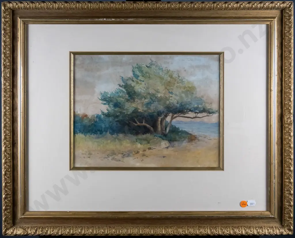 Hugh Scott 1932 - framed watercolour - Ake Ake H-230 W-300 (extensive foxing) Image 1++