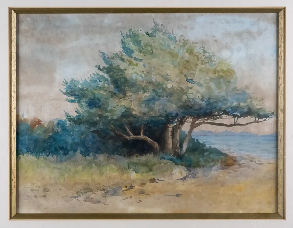 Hugh Scott 1932 - framed watercolour - Ake Ake H-230 W-300 (extensive foxing) Image 1++