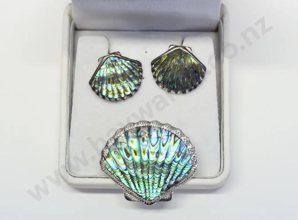 paua shell brooch & earring set stamped strling silver Image 1++