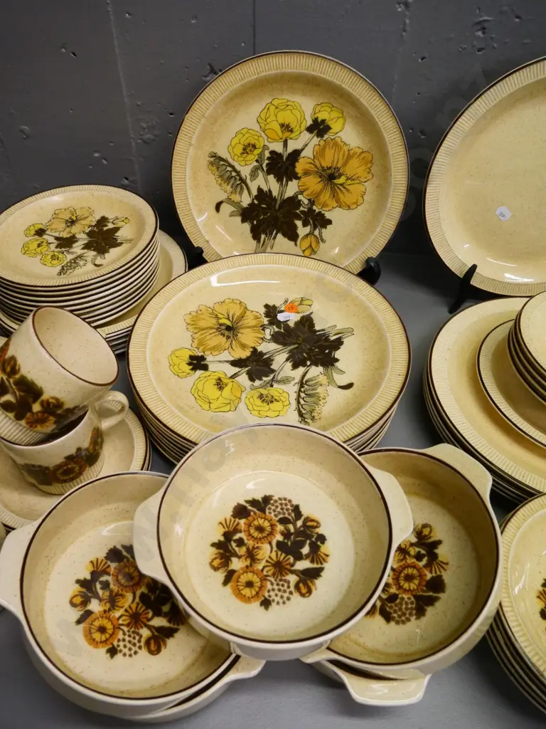 large assortment of Poole dinnerware in 3 complimentary patterns - Thistlewood, Sherwood, plain - some glaze cracking Image 1++