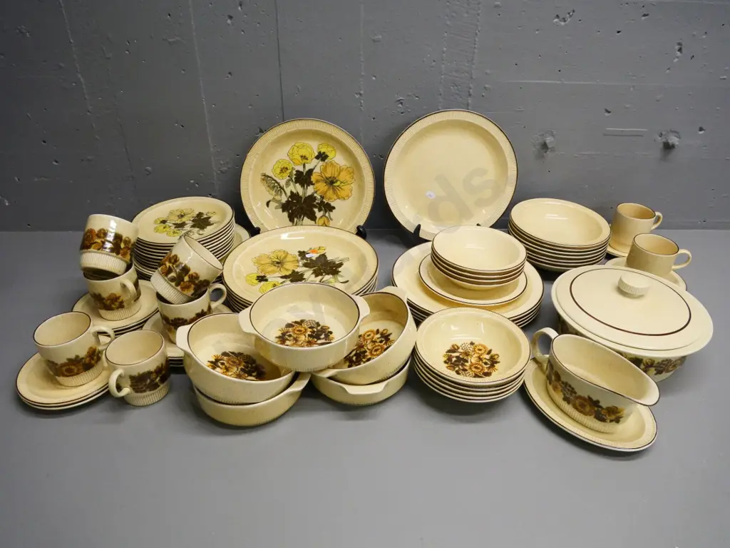 large assortment of Poole dinnerware in 3 complimentary patterns - Thistlewood, Sherwood, plain - some glaze cracking Image 1++