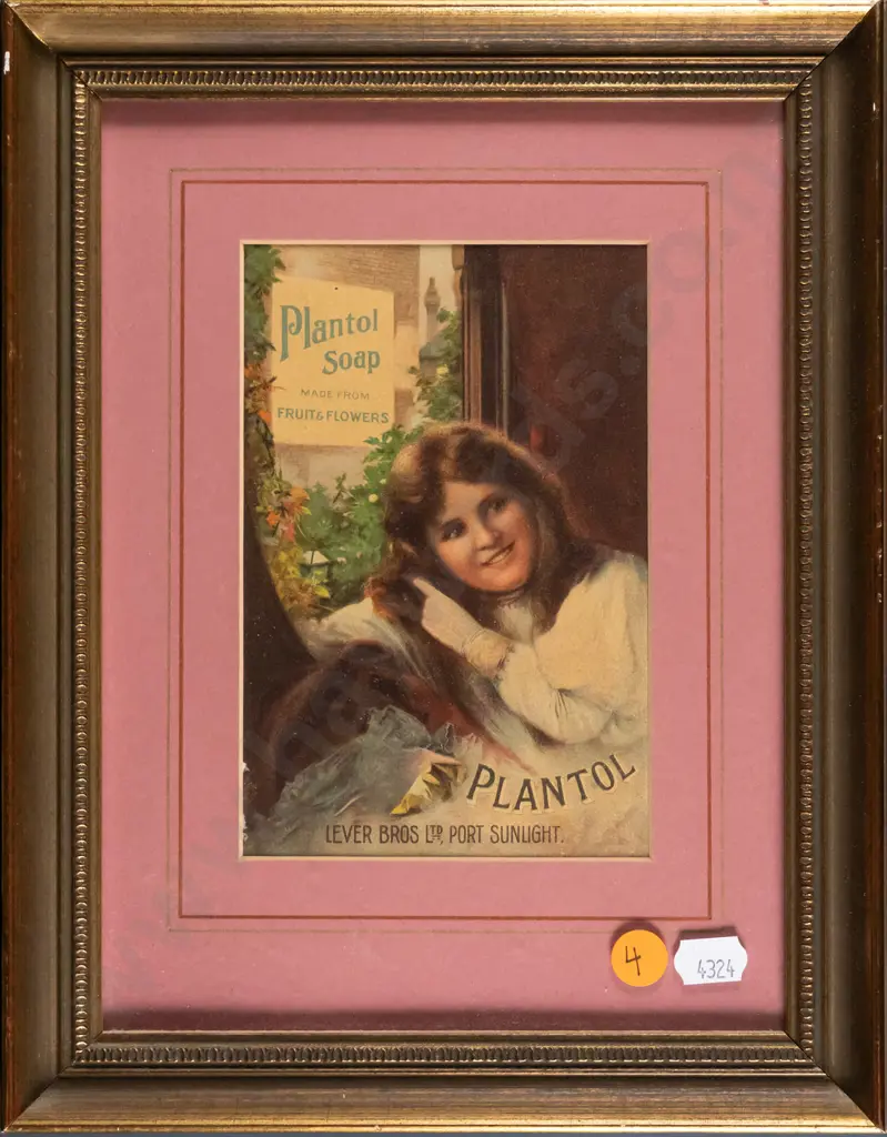 framed vintage advertising print - Plantol H-150 W-100 Image 1++