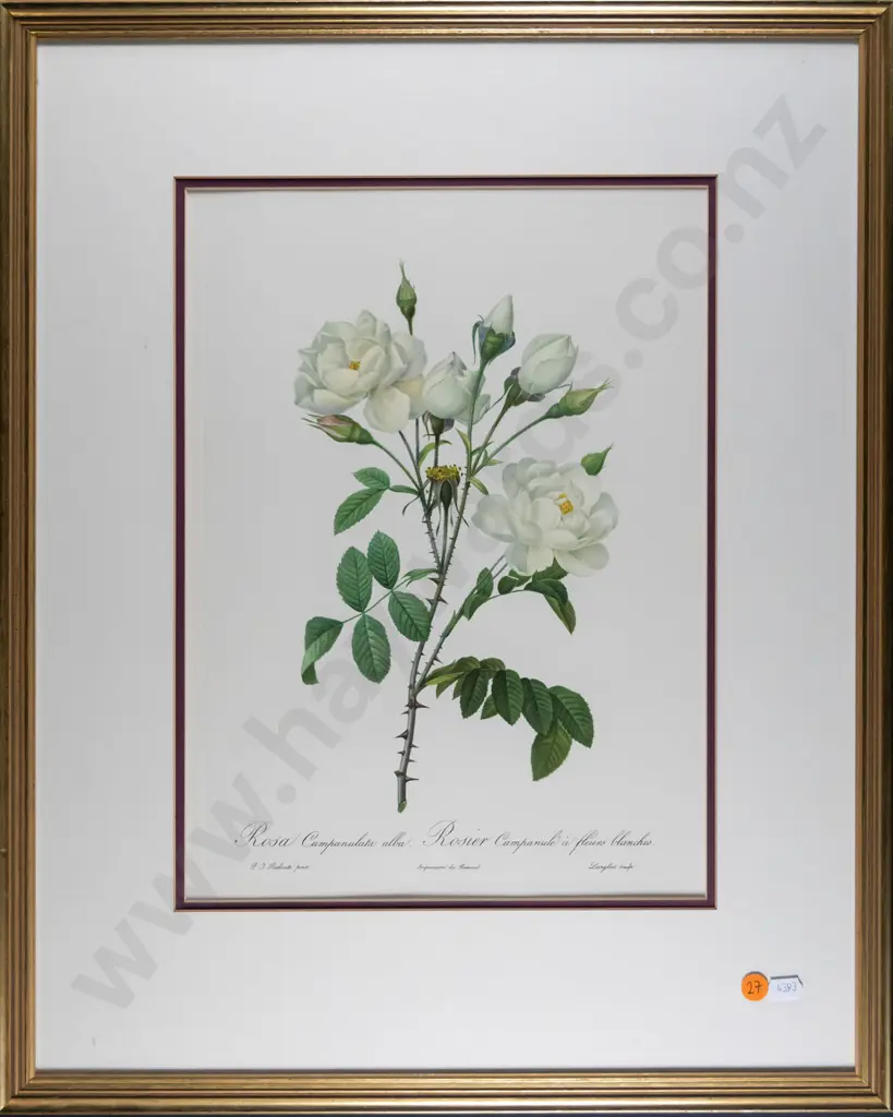 gilt framed print - roses H-350 W-260 Image 1++