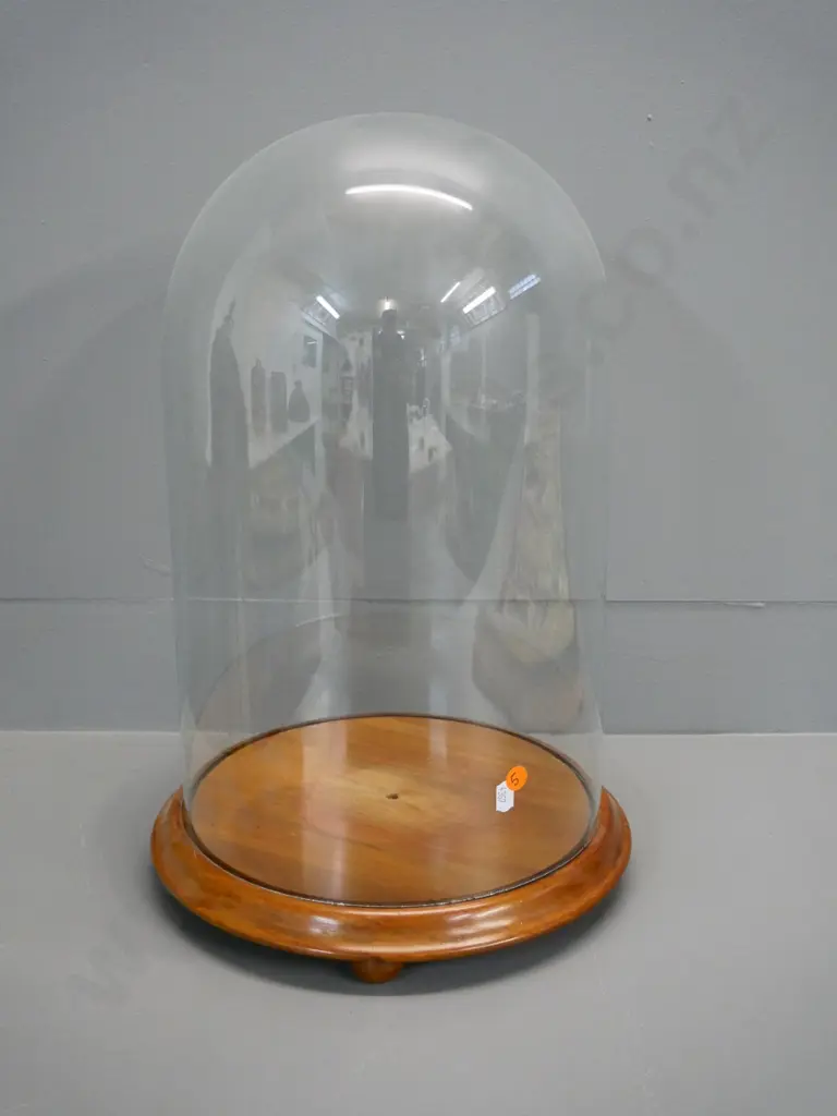 large glass display dome on turned wooden base H-470 Diameter 300 at base Image 1++