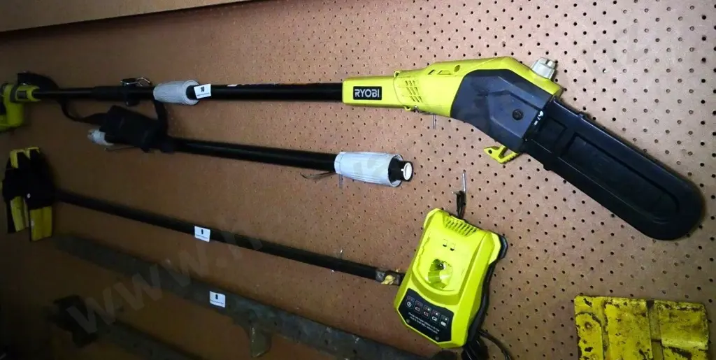 Ryobi battery powered extending pole saw Image 1++