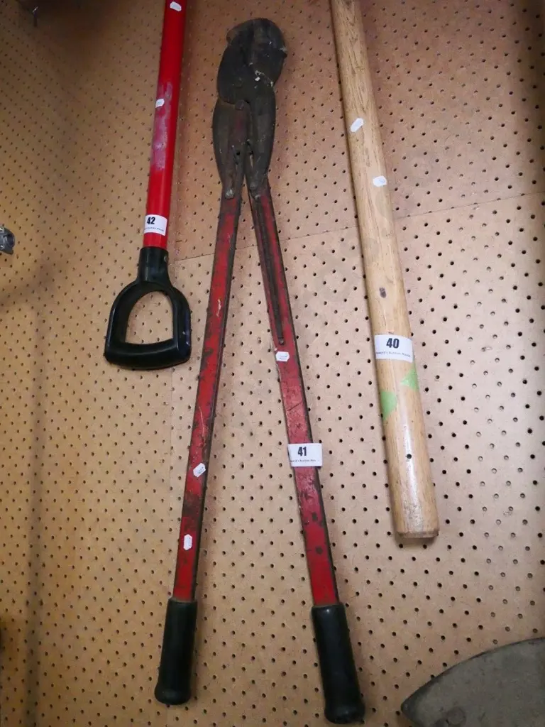 forestry loppers Image 1++