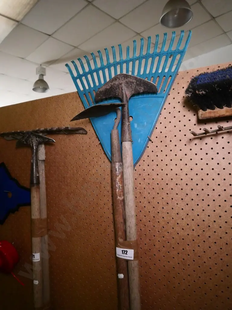 grass rake and 2 garden hoes Image 1++