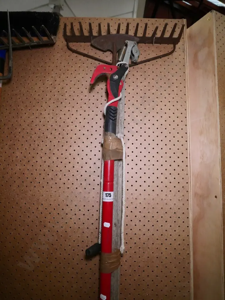 rake, hoe and a pole pruner Image 1++
