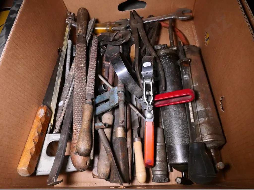 box of rasps, files, grease gun, etc Image 1++