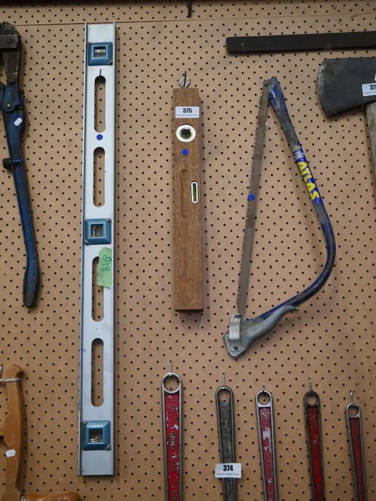 pruning saw and 2 levels - blue dots Image 1++