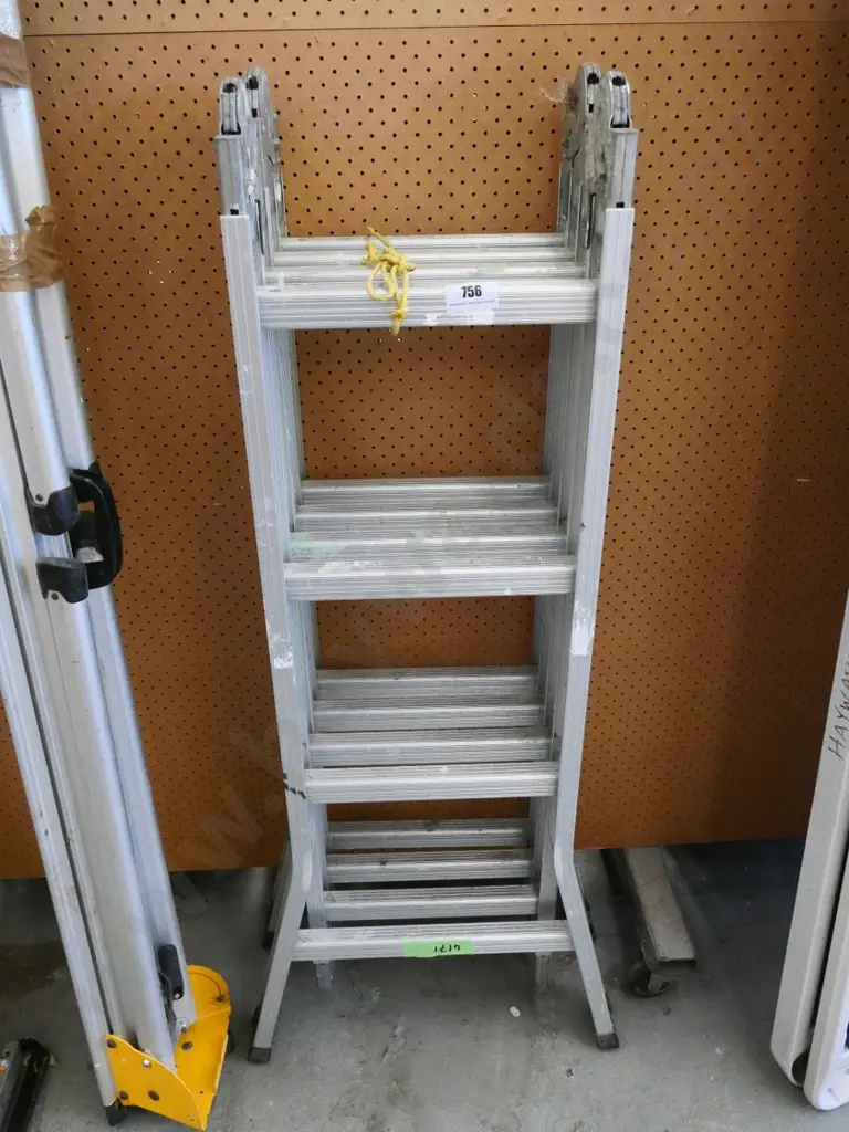 multi-ladder Image 1++