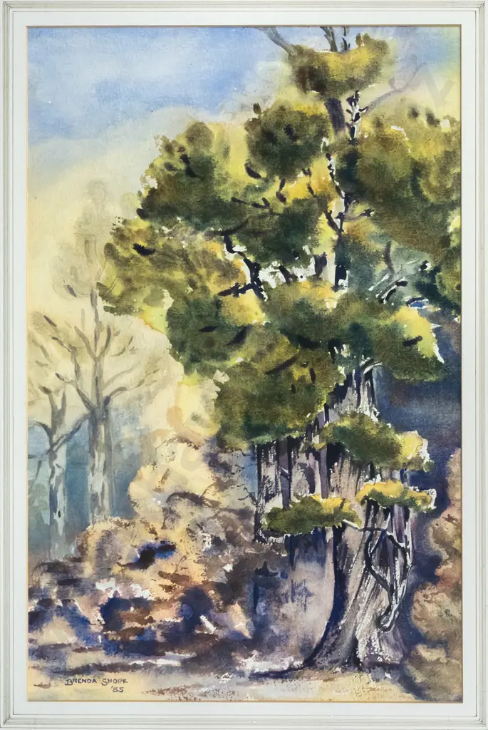 Brenda Shore '85 - framed watercolour - "Matai, Peel Forest" H-500 W-320 Image 1++