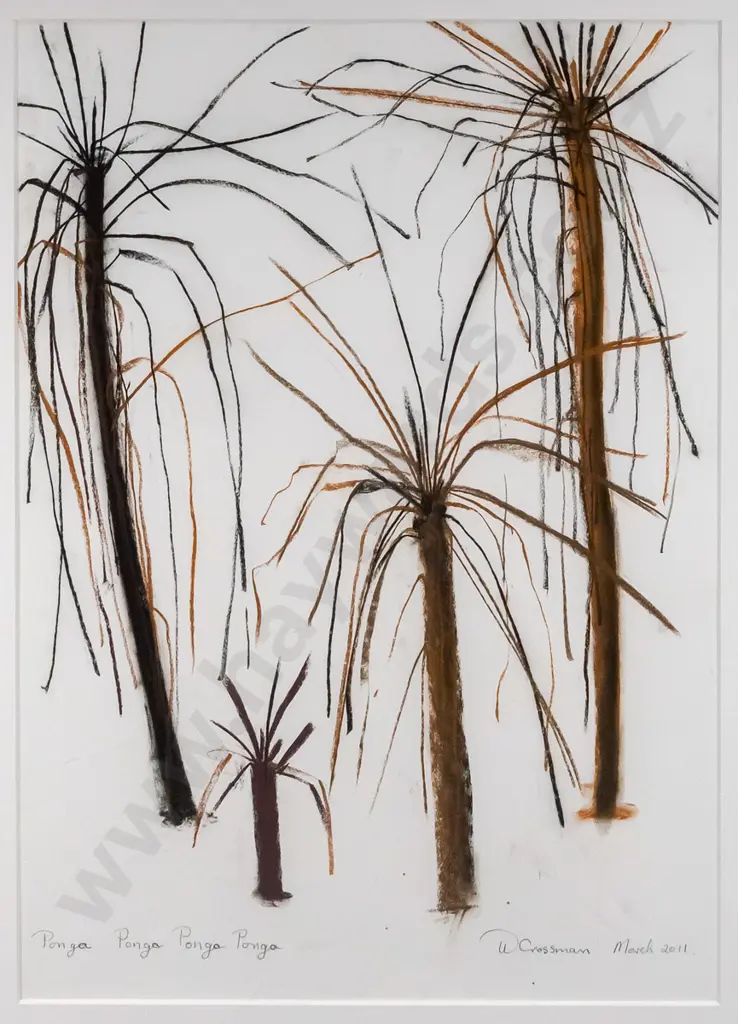 Wallace Crossman March 2011 - framed pastel - "Ponga Ponga Ponga Ponga" H-720 W-490 Image 1++
