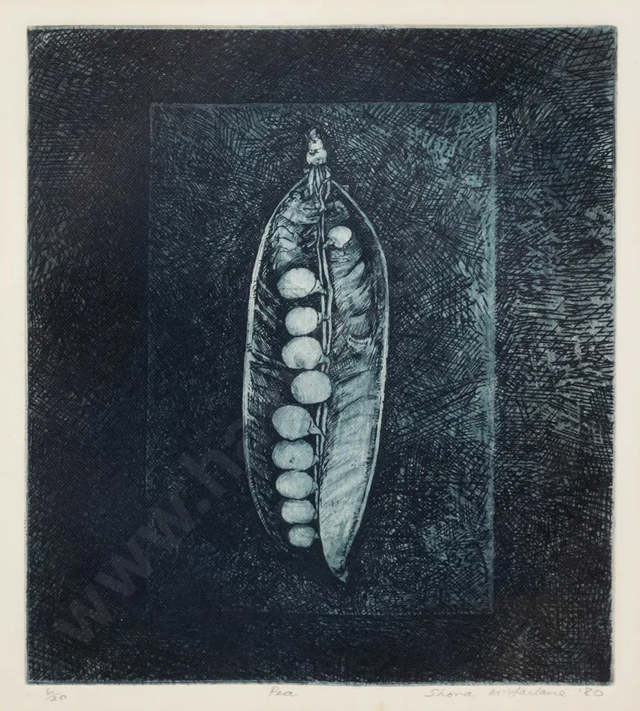 Shona Mcfarlane '80 - framed etching 6/20 - "Pea" H-225 W-200 Image 1++