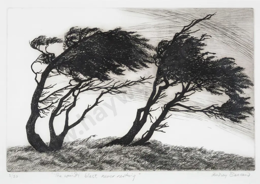 Audrey Bascand - framed etching No. 3/20 - The Wind's Blast Never Resting. H-210 W-320 Image 1++