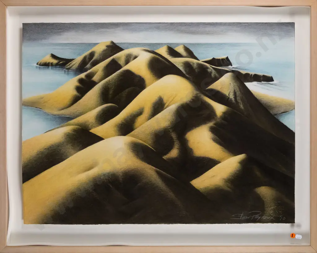 Steev Peyroux '10 - framed pastel - Otago peninsula  H-550 W-750 (frame needs attention) Image 1++