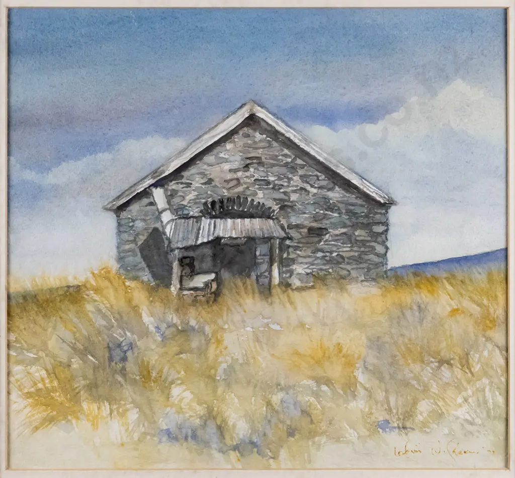 Robin Green - framed watercolour - Otago Heritage H-220 W-240 Image 1++