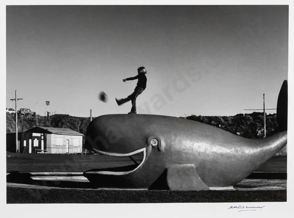 Matheson Beaumont circa 1970 - framed black & white photograph - "Marlow Park Whale" H-230 W-330 Image 1++