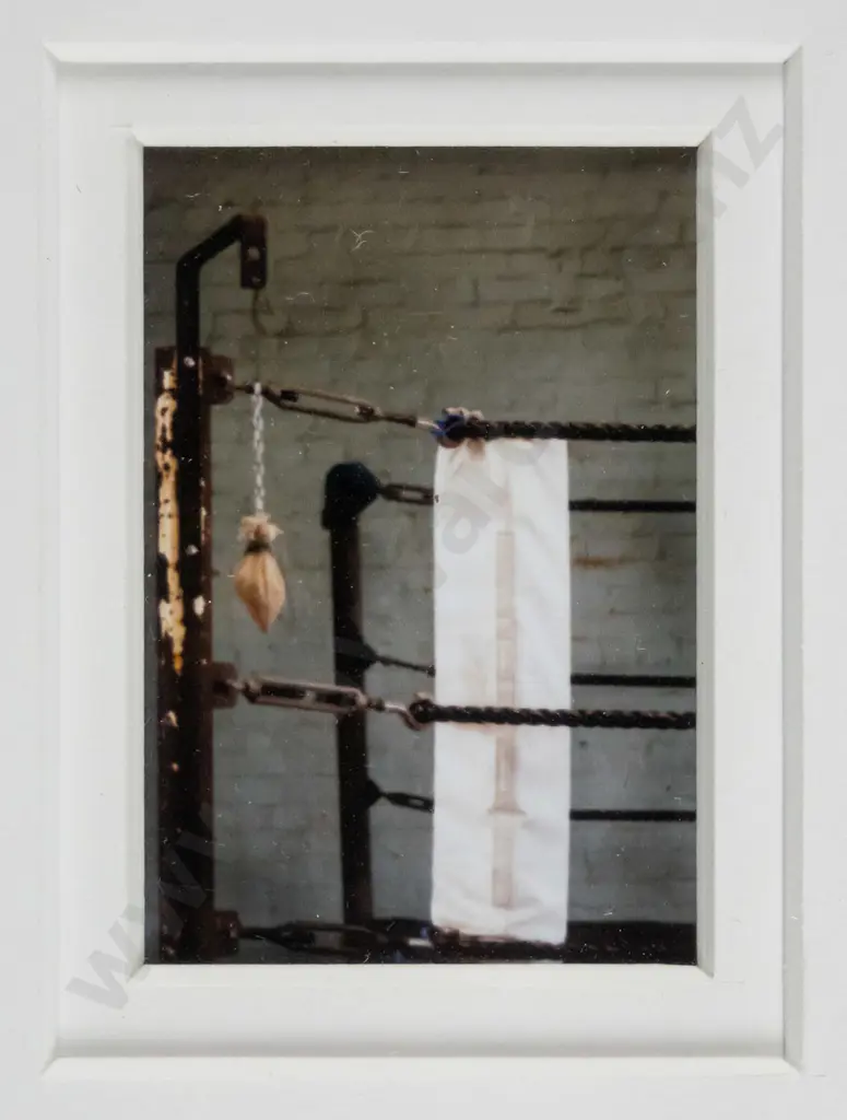 Lindsay McLeod - framed photograph -"Gym Series" H-50 W-30 Image 1++