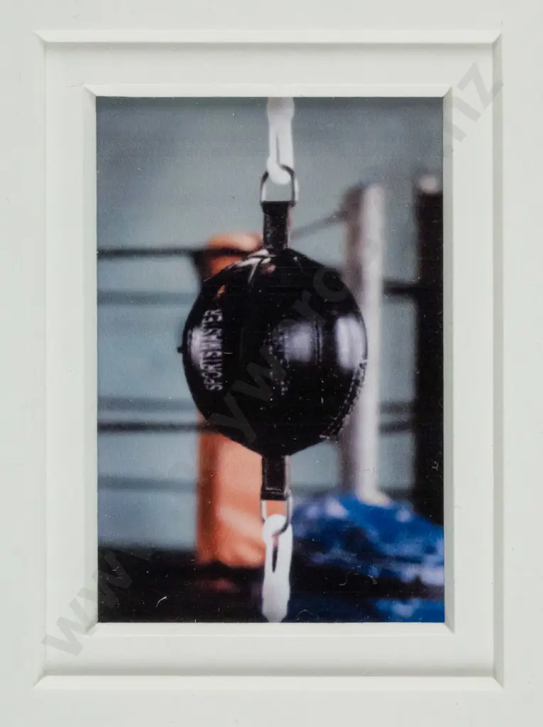 Lindsay McLeod - framed photograph -"Gym Series" H-50 W-30 Image 1++