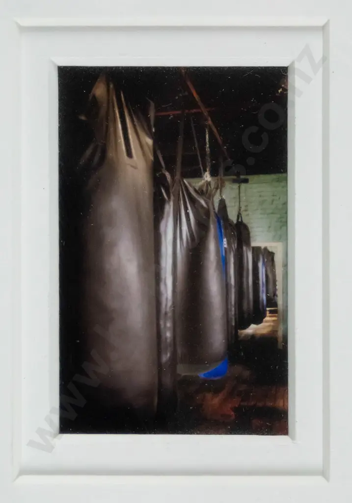 Lindsay McLeod - framed photograph -"Gym Series" H-50 W-30 Image 1++